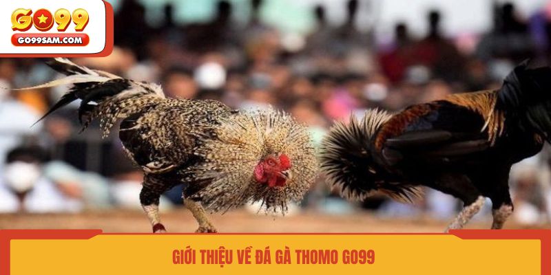 gioi-thieu-ve-da-ga-thomo-go99